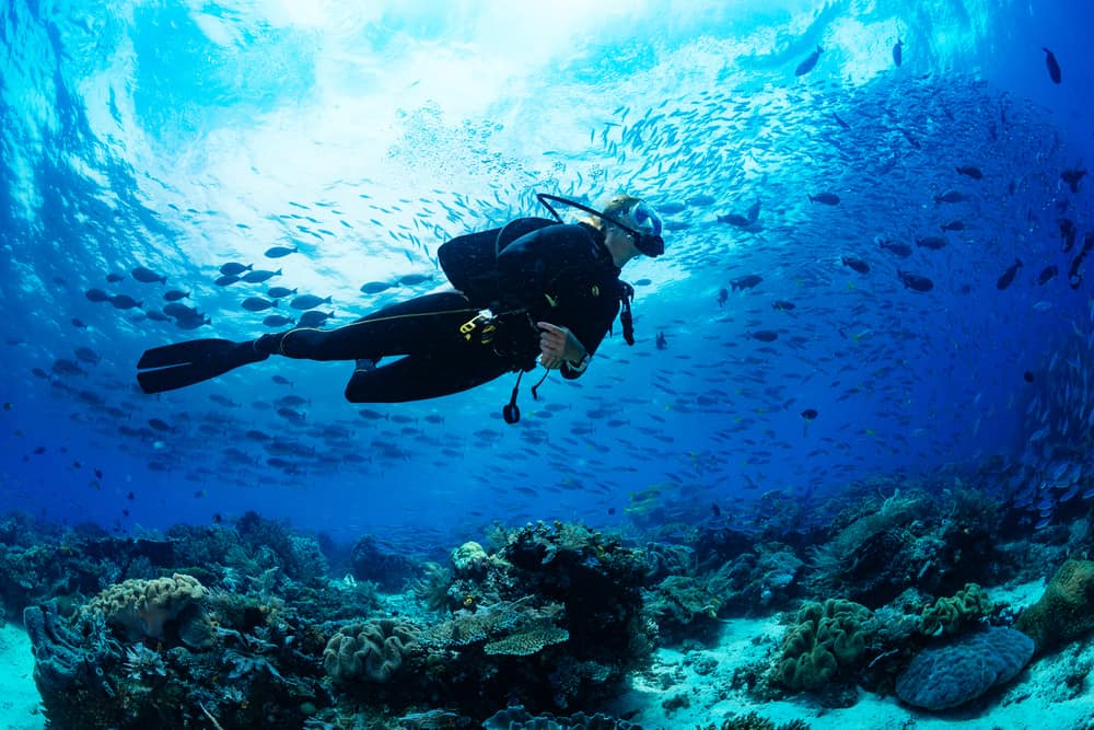 person scuba diving in the Florida keys