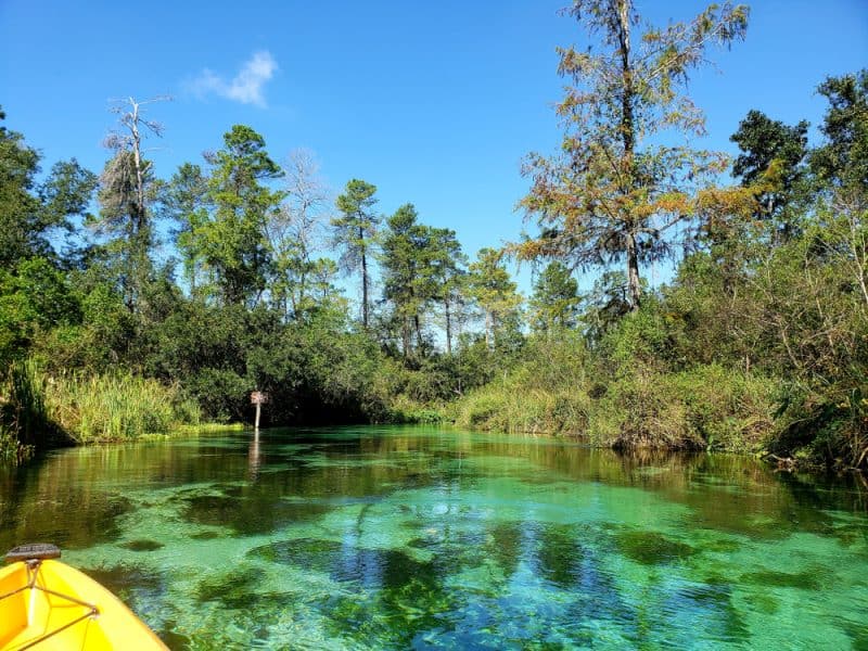 7 Best Places For Tubing In Florida (Natural Lazy Rivers!) Florida