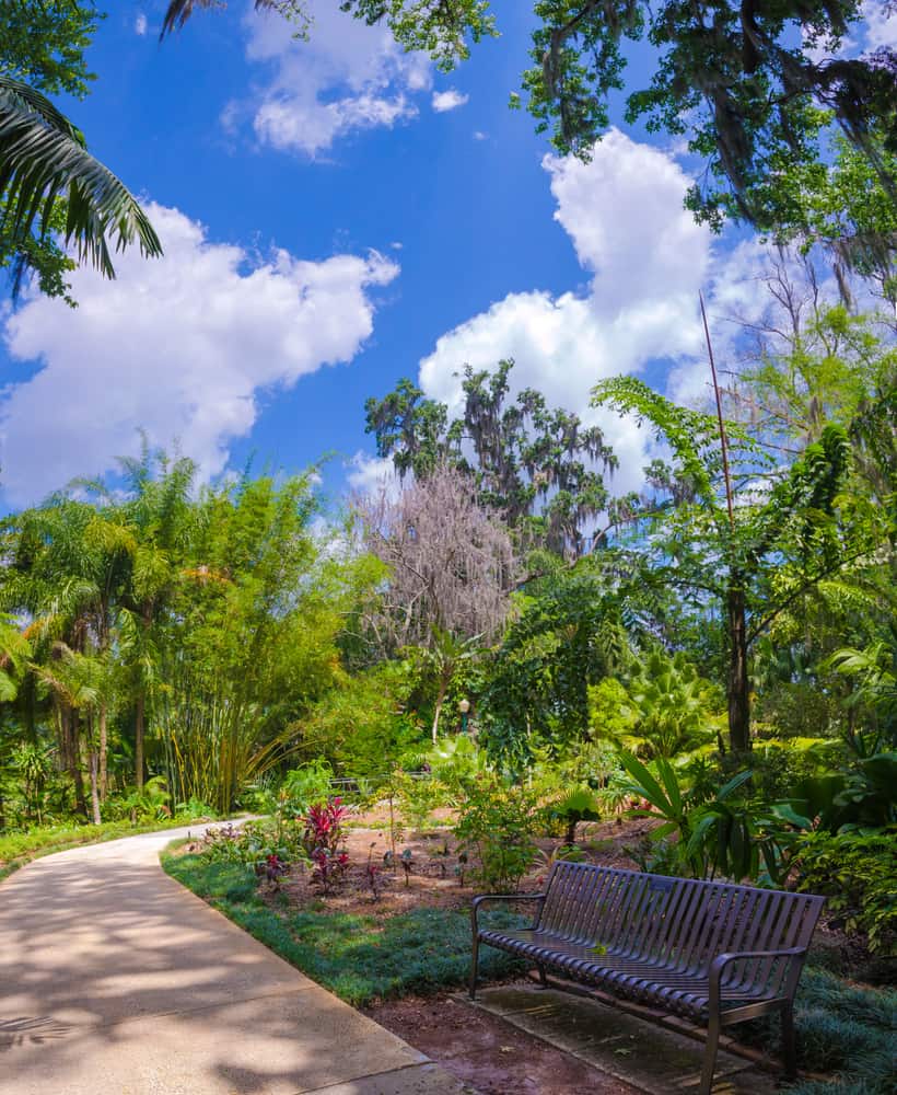 A walkway and bench at Harry P. Leu Gardens in Orlando.