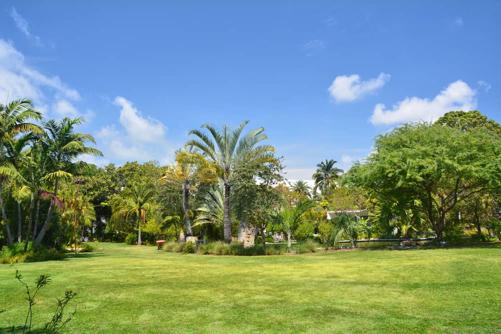 A lawn at Miami Beach Botanical Garden, one of the best botanical gardens in South Florida