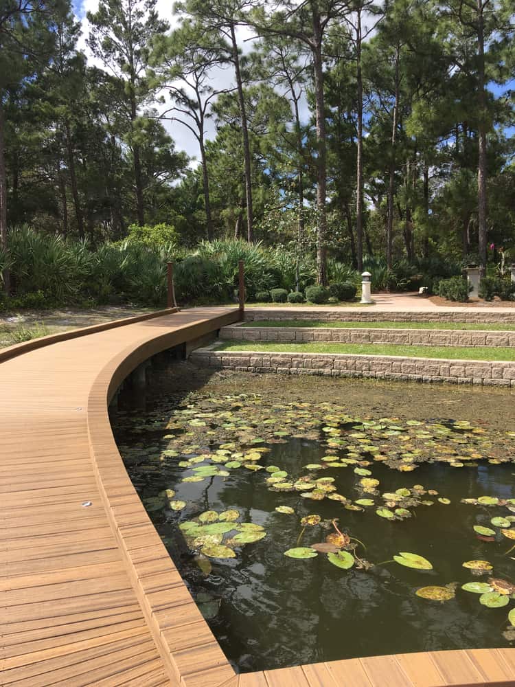 The river boardwalk in Port St. Lucie Botanical Gardens.