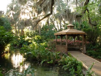 One of the most beautiful day trips from Jacksonville, Washington Oak Gardens State Park