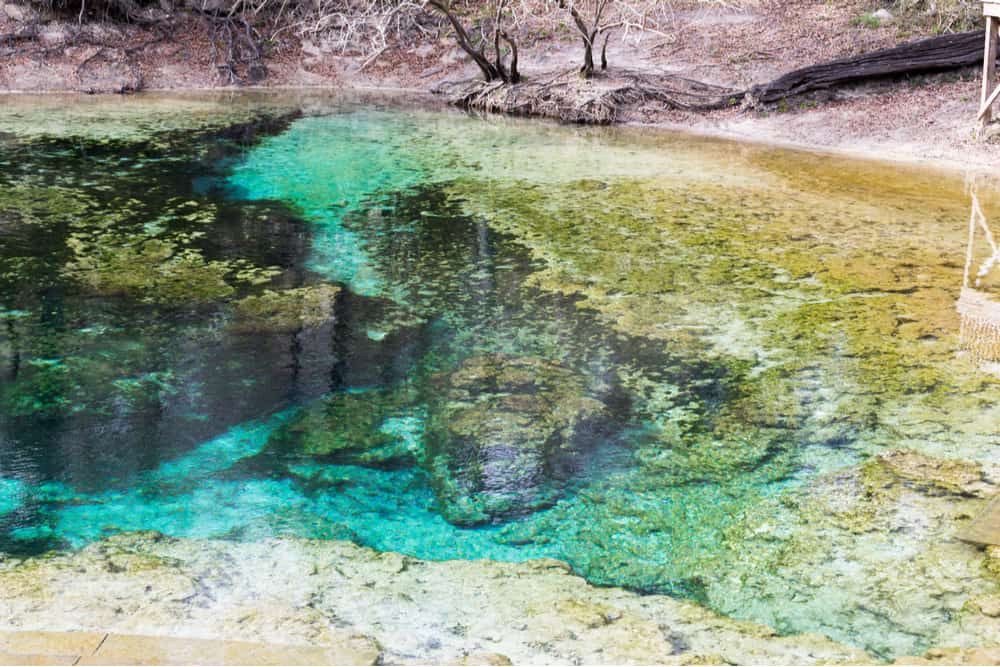 Clear blue water with algae growing along limestone underwater floor