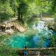 woman standing at Madison Blue Springs in north florida surrounded by green trees