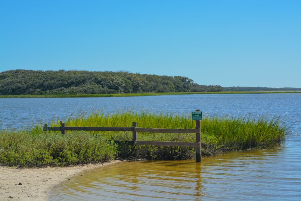  GTM Research Reserve is the best beach in saint augustine for you if you're a fan of hiking