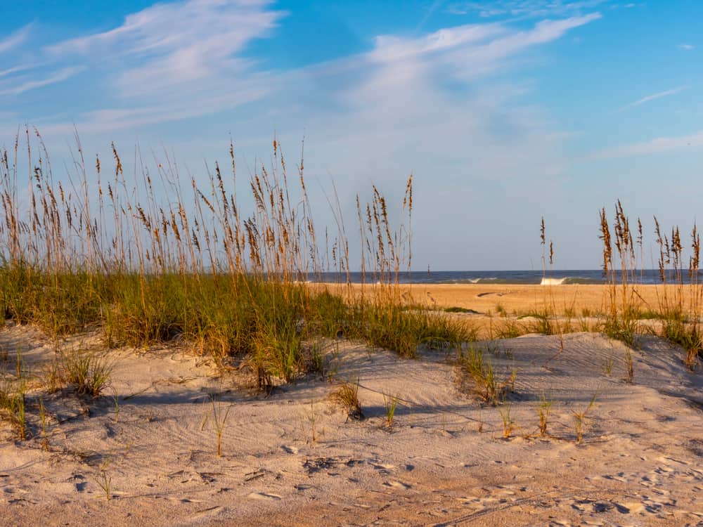 Anastasia State Park has just about everything a beachgoer could want; swimming, sunbathing, surfing, fishing, sailboats, paddle-boarding...