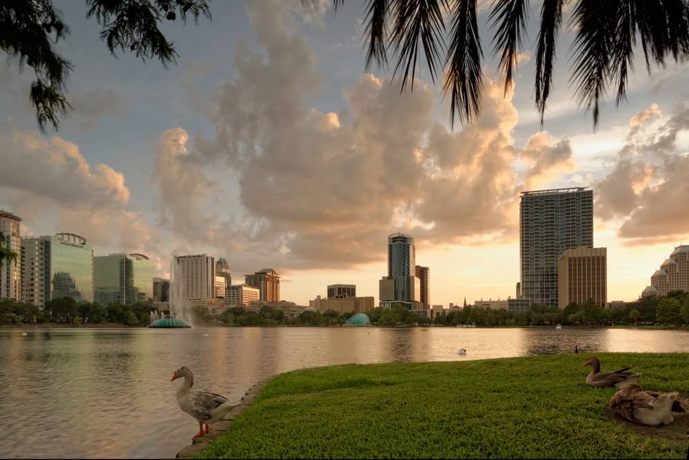 night photo of Lake eola at , ducks in the foreground