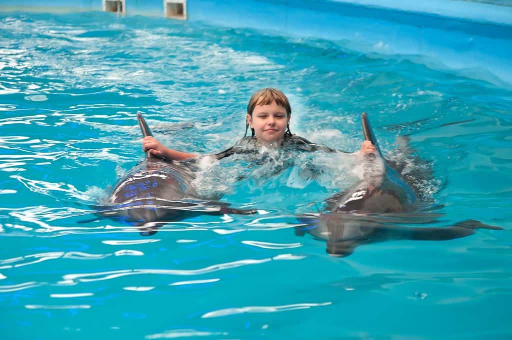 Dolphins swim in a therapy session with a child with autism.