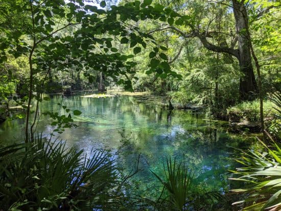 12 Best Natural Springs In North Florida - Florida Trippers