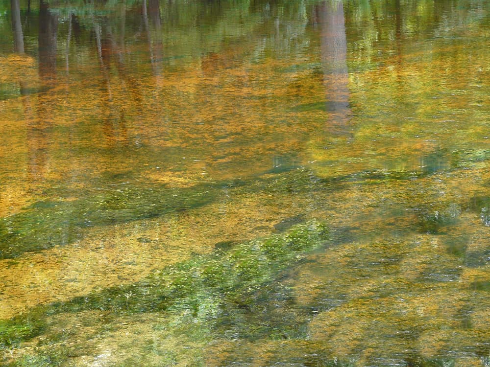 the reflection of crystal clear water at Rum Island springs in fort white