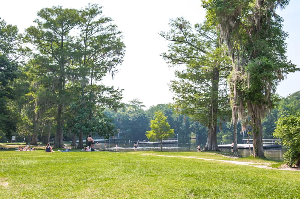 Green grassy area with trees and Wakulla Springs in the background with the swimming platforms as people sunbathe