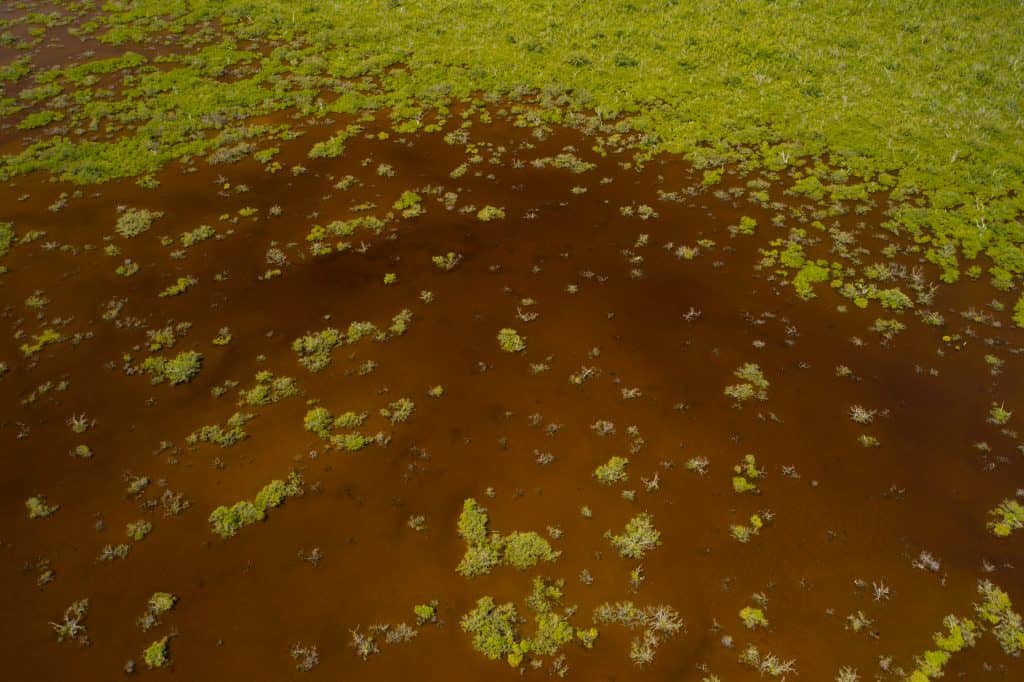 An aerial view of Crocodile Lake National Wildlife Refuge, the only place to see crocodiles in the United States.