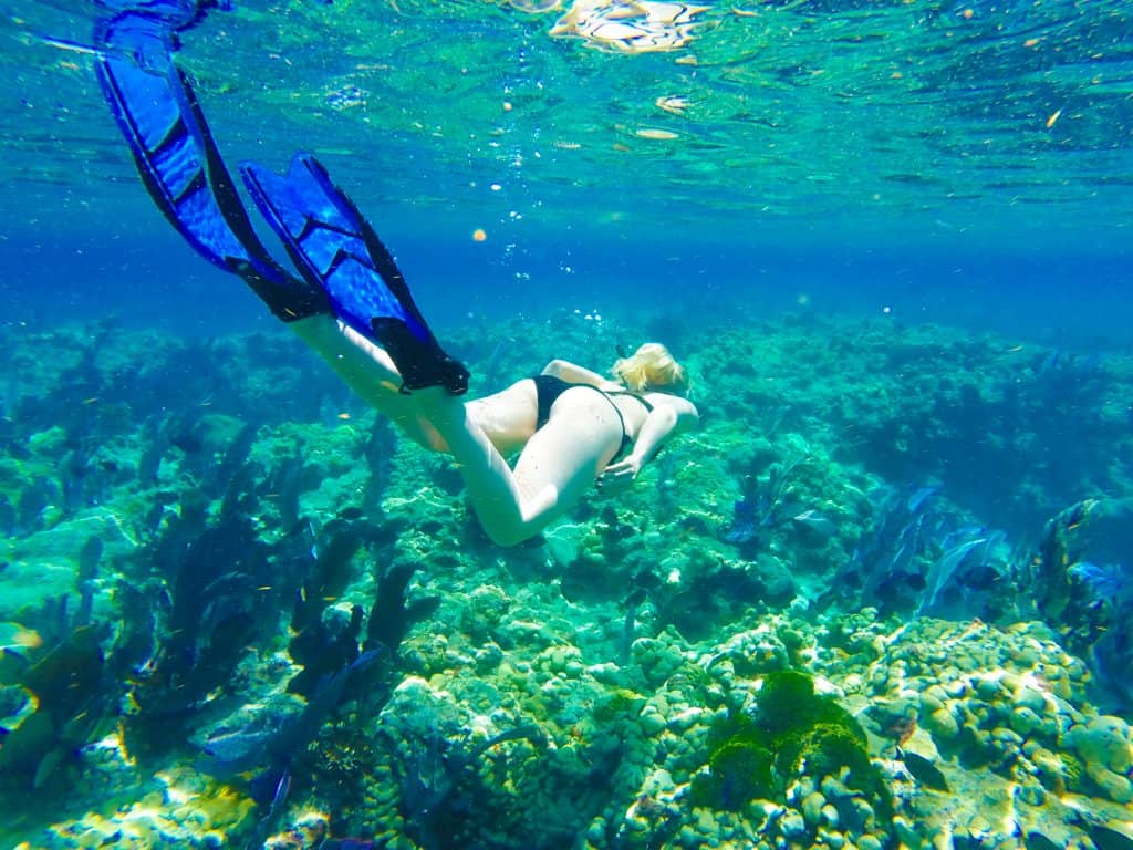 A snorkeler observes the coral reefs of Key Largo.