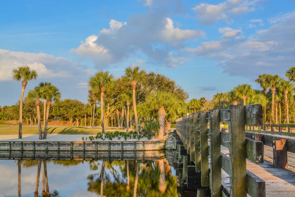 Palm Trees along Ponte Vedra Beach.