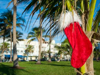 A Christmas stocking hanging ona aplan tree in an article about Christmas in Miami