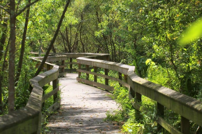 12 Best Hikes In Orlando You Shouldnt Miss Florida Trippers