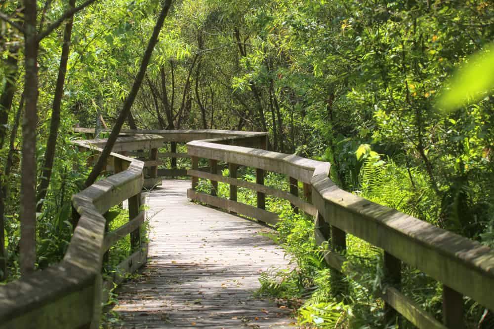 mead botanical gardens in winter park florida