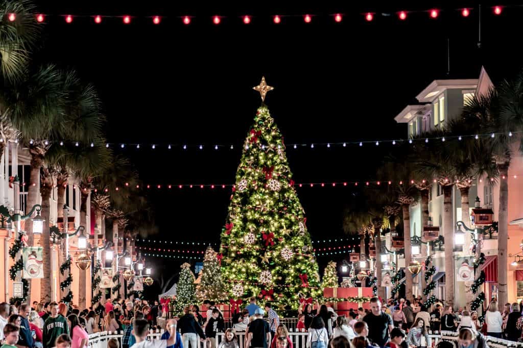 A large Christmas tree in a square of one of the best Christmas towns in Florida