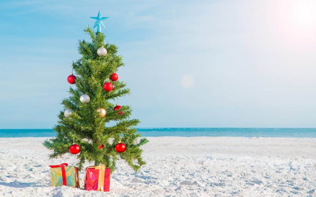 A mini Christmas tree on a sandy beach with a blue sky and waves 