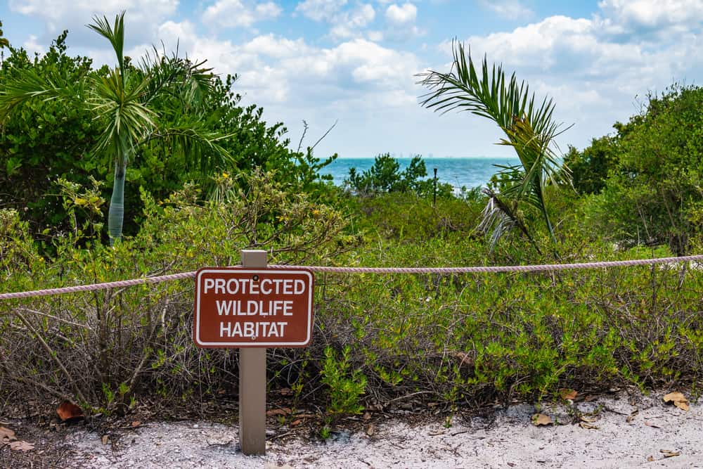 Wildlife is protected, as this sign shows, in Sanibel.