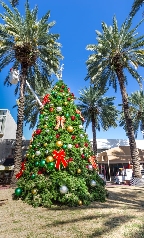 Christmas tree admits the palm trees in downtown Miami.