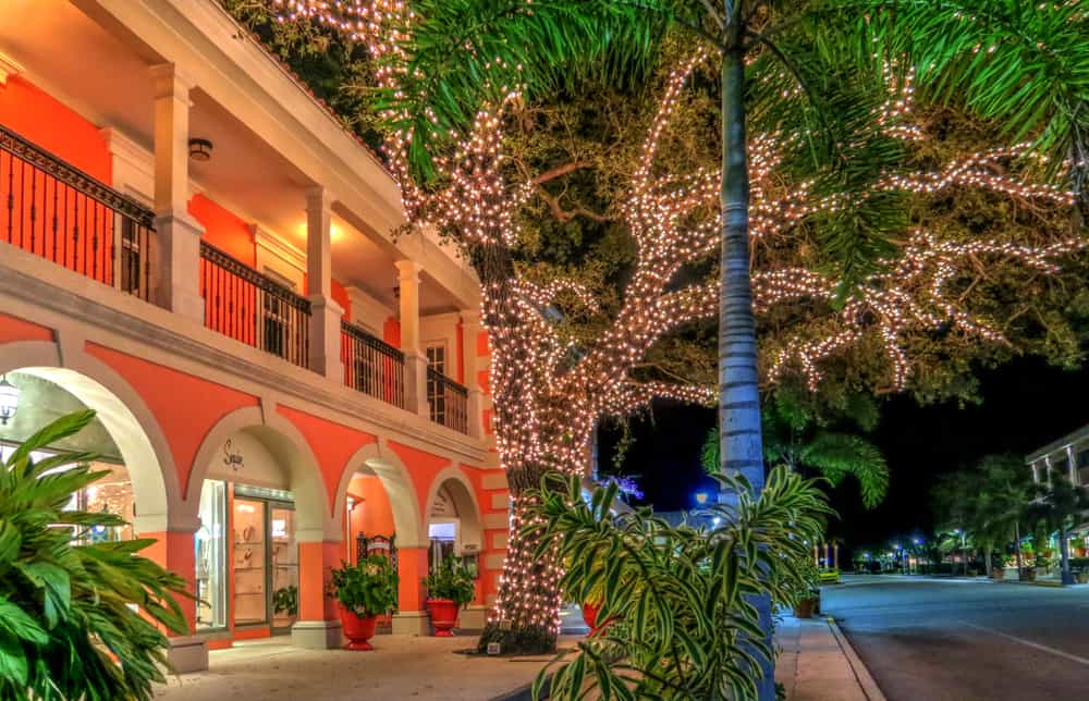 Christmas lights around a tall, old oak in Naples, Florida.