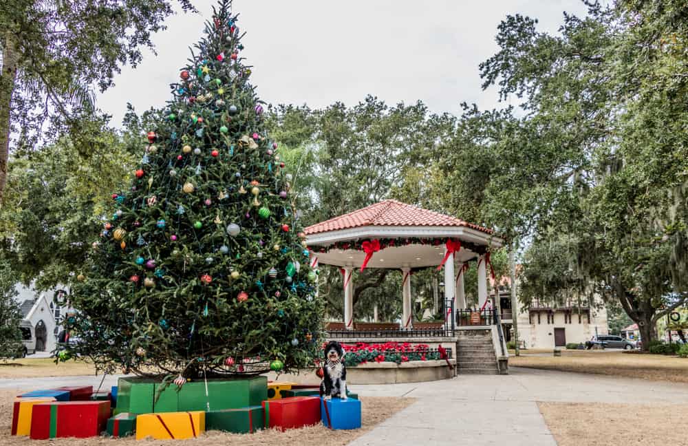 Christmas tree and pavilion in St. Augustine one of the best Florida Christmas vacations.