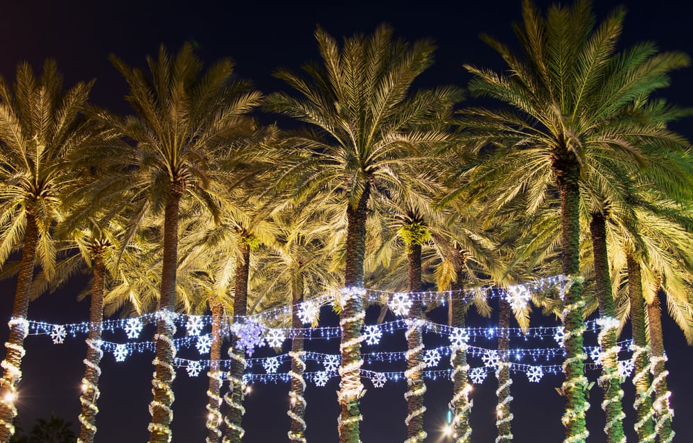 Palm trees decorated with lighted snow flakes in Tampa, one of the best Florida Christmas vacations.