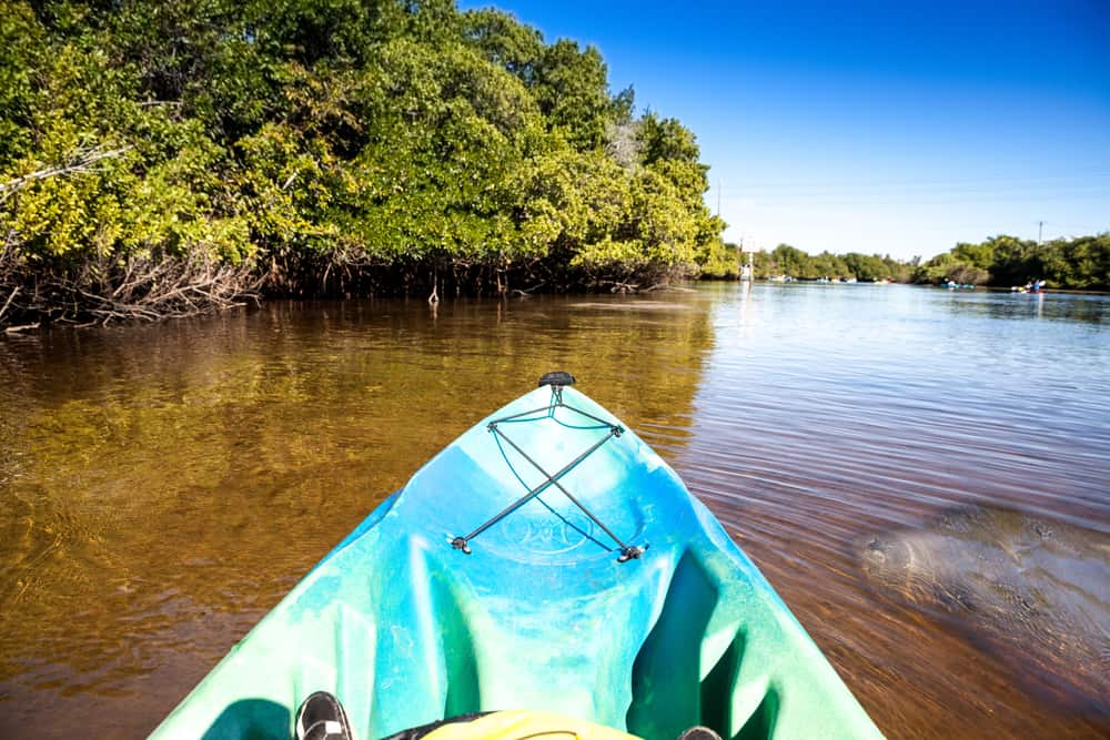 A front of a blue kayak with a manatee swimming alongside in Fort Myers