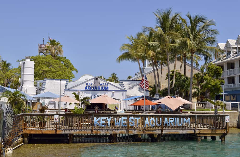 The Key West Aquarium looks like maritime history with a shark welcoming you inside, a dock, and blue letterings for advertisements. 