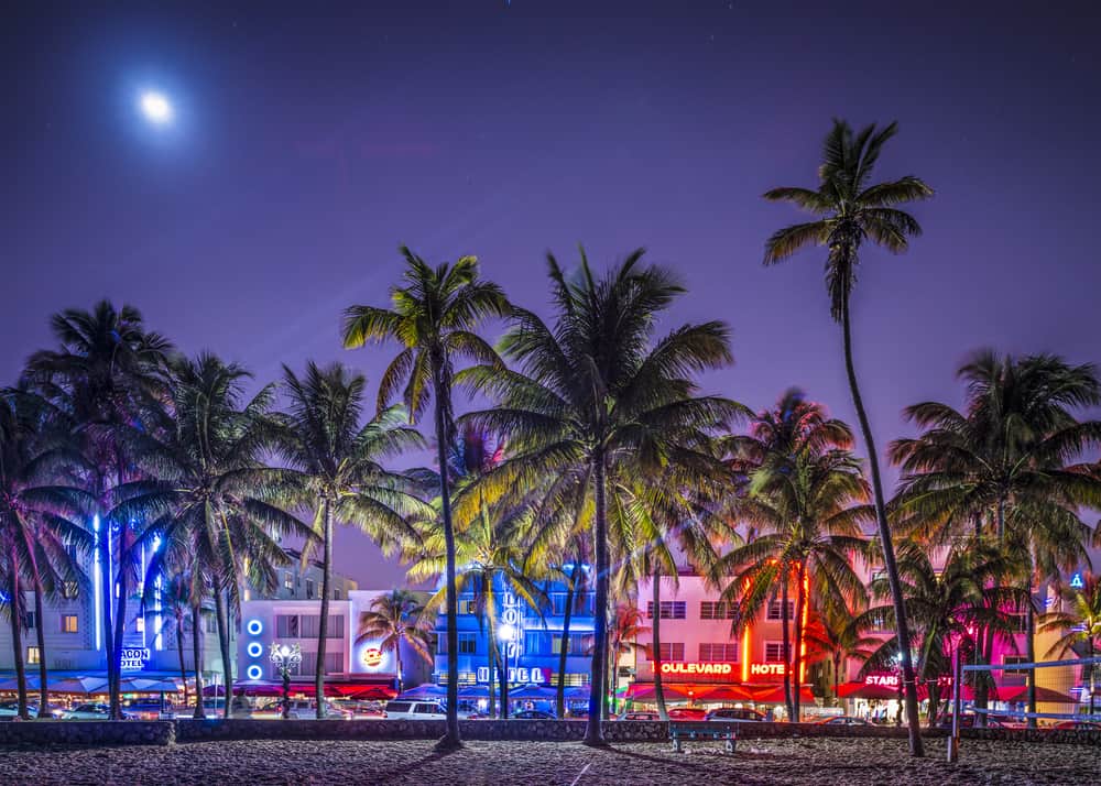 The palm trees and lit up buildings at night in Miami Beach. 