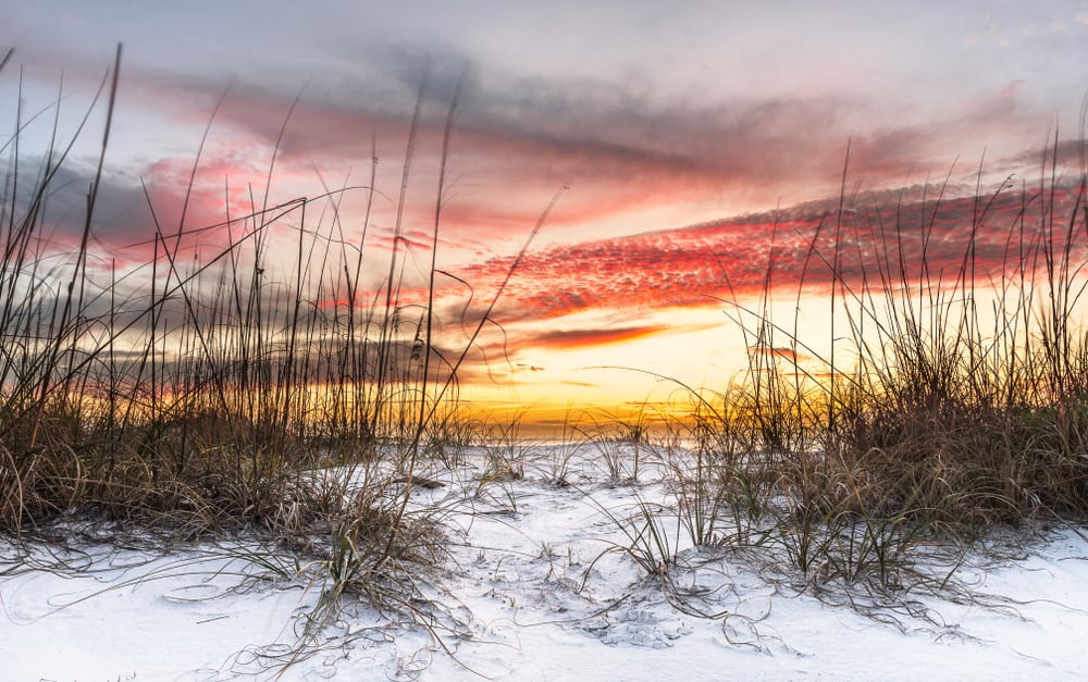 Looking through sea oats and over white sand to the sunset over the ocean.