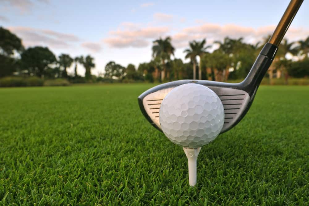 Close up of a golf ball on a tee with a putter behind it and palm trees in the far distance.