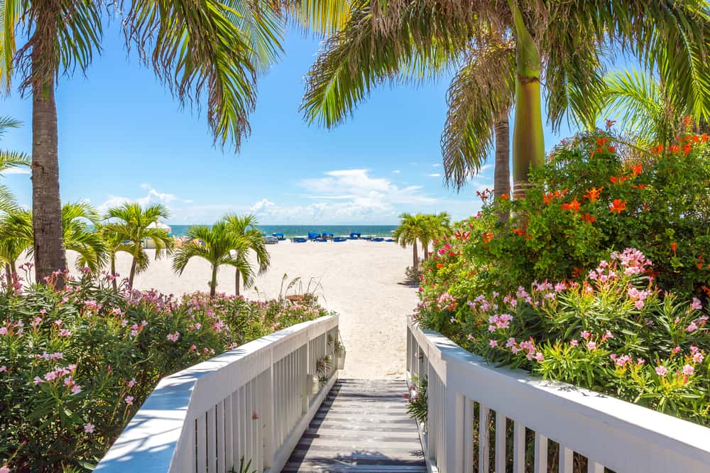 Looking down a boardwalk surrounded by palm trees and flowers at the white sand St. Pete Beach, one of the prettiest family beaches in Florida.