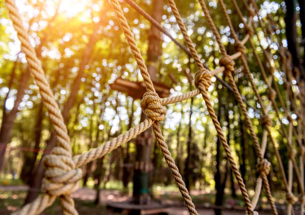 Detail close-up of ropes at Orlando Tree Trek Adventure Park, one of the most fun things to do in Kissimmee, Florida.