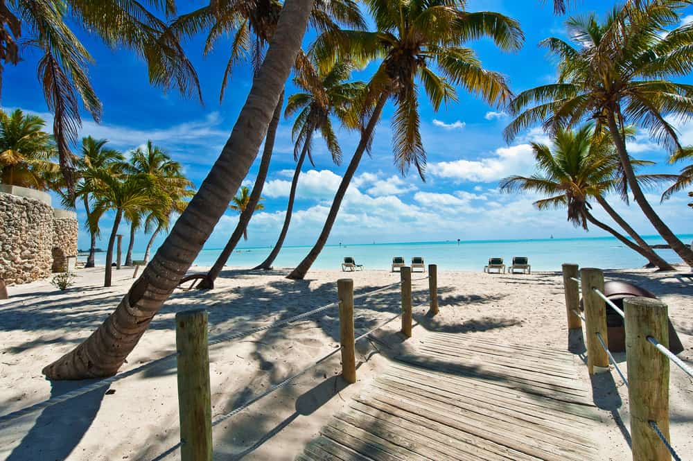 a wooden boardwalk surrounded by palm trees beach chairs and turquoise water in Kew West one of the quaint beach towns in Florida 