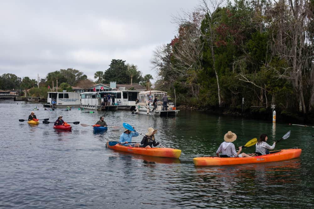 orange canoes kayaking along the three sisters springs one of the best things to do in crystal river florida