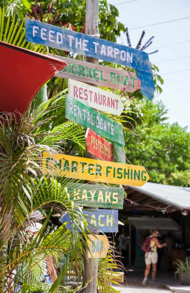 a colorful sign at Robbies, one of the best places to go in Islamorada. there are colorful arrows pointing in different directions that say things like "charter fishing" and "restaurant" in bright letters. The sign is partially obscured by a palm from, and the sun is shining brightly