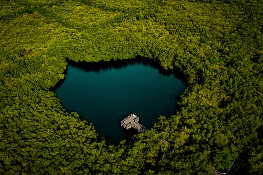 An aerial view of a lake in Weedon Preserve, one of the best things to do in Tampa. You can see a lake, a dock, and then acres of trees. 