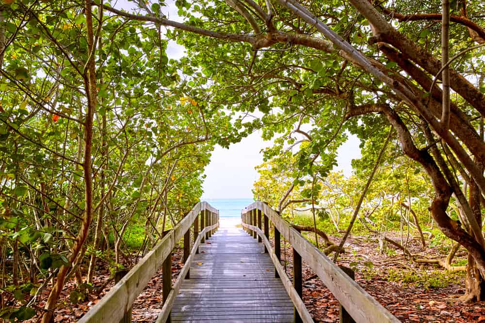 A boardwalk under trees leads to Bonita Beach, one of the best Fort Myers beaches.