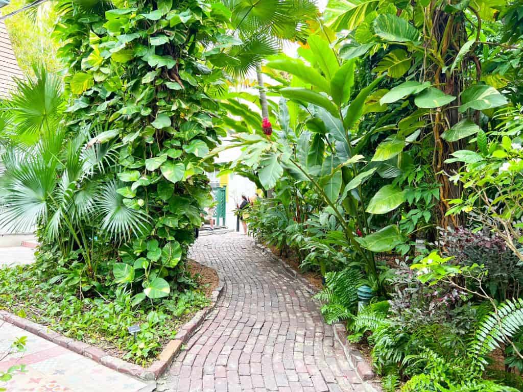 A brick pathway cuts through large, leafy plants on the Ernest Hemingway Home and Museum grounds.