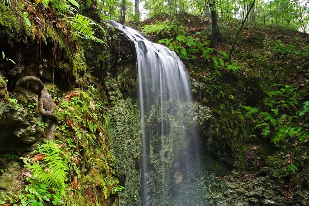 A pretty, little waterfall cascading down among vegetation.