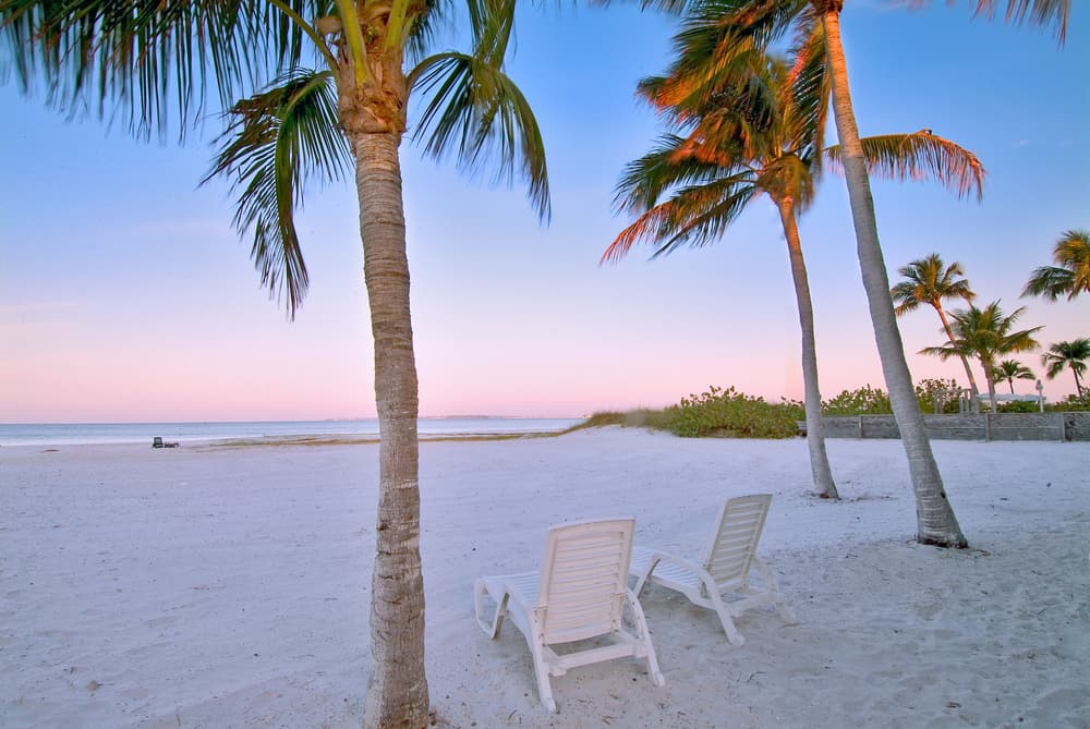 A couple of chairs under palm trees on a beach at dusk.