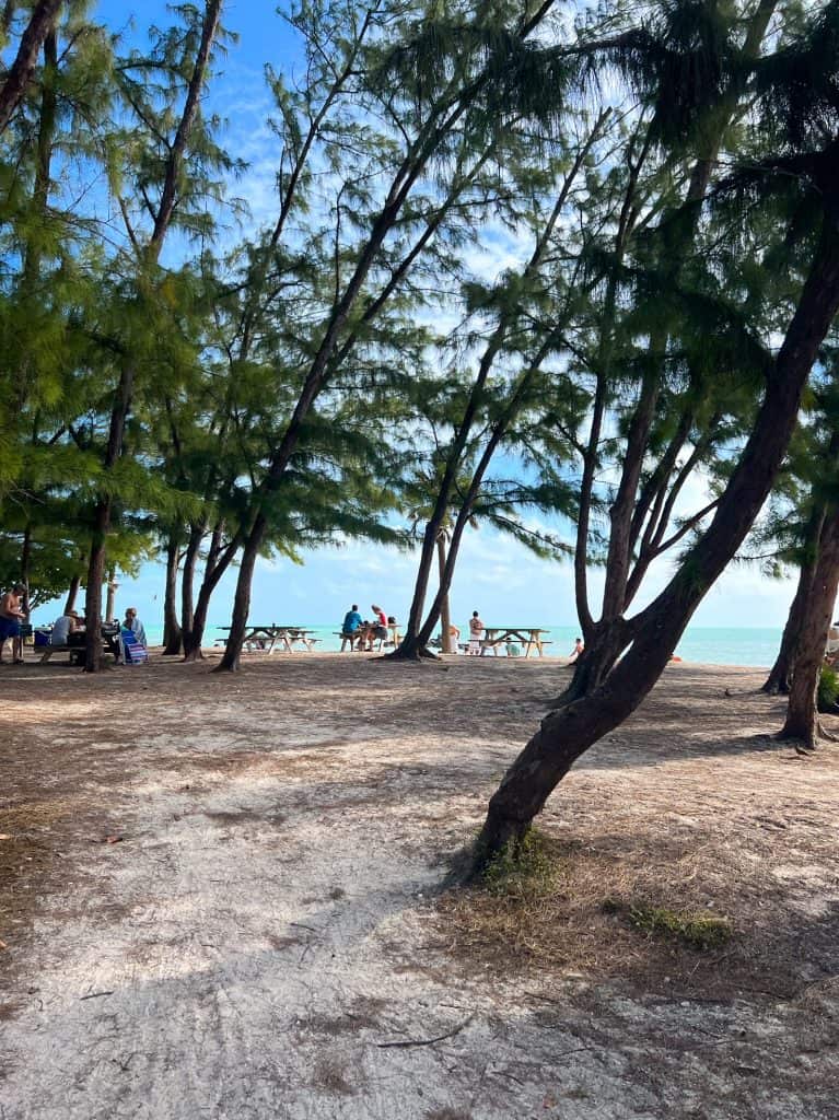 People sit at picnic tables in the shade of trees at Fort Zachary State Park, with the ocean in the background.