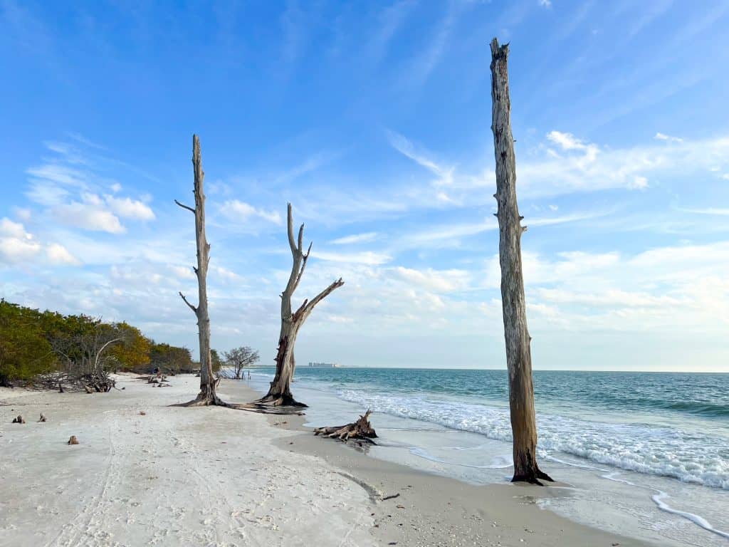 Shore of Lover's Key with bare trees.