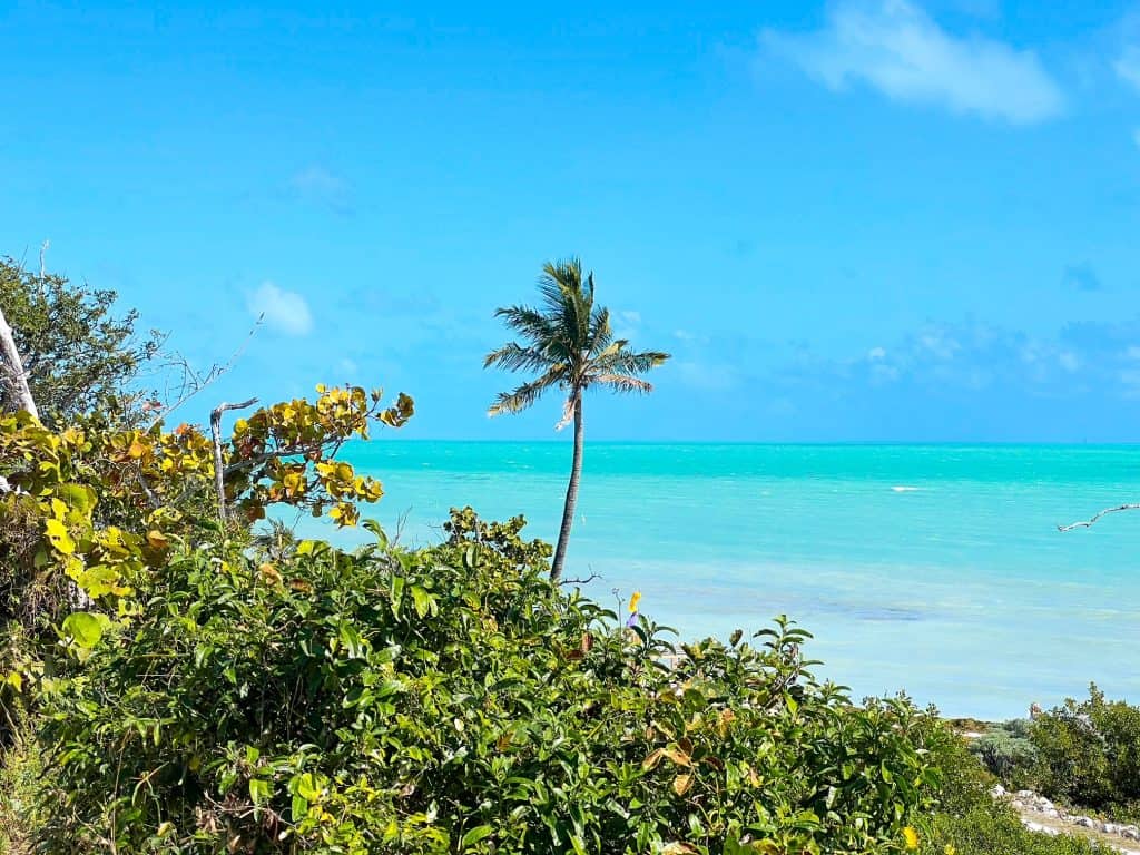 The palm-trees that line Bahia Honda State Park and the crystal blue water truly makes this place a Florida oasis.