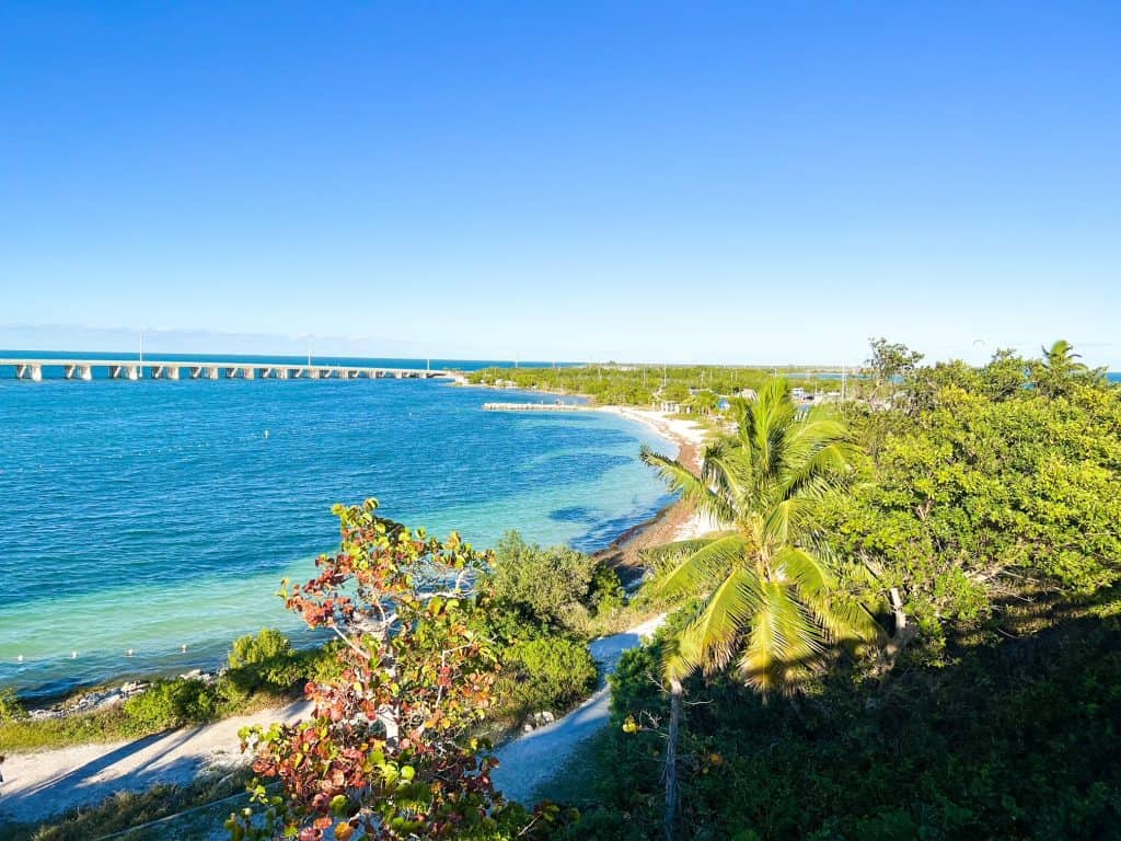 The coastline of Bahia Honda State Park features trees, sandy beaches, blue waters and more. It is truly an oasis.
