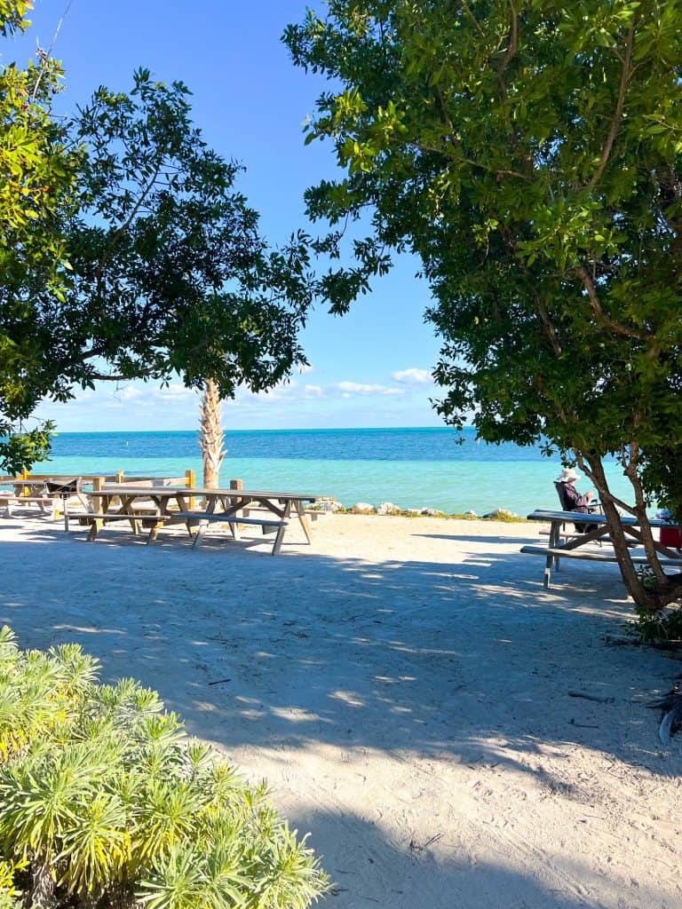 An image of the blue waters and white sands that are home to picnic tables for camping and relaxing at Bahia Honda State Park.