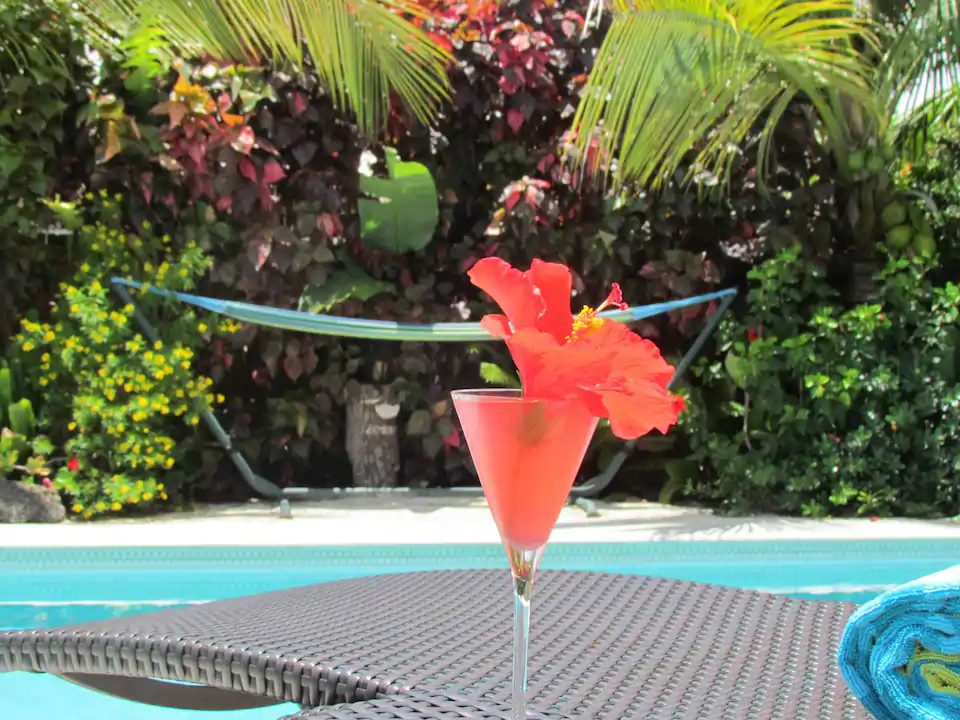 Image of a fancy hibiscus cocktail by a lounge chair beside the beautiful pool of the Luxe Bungalow Retreat