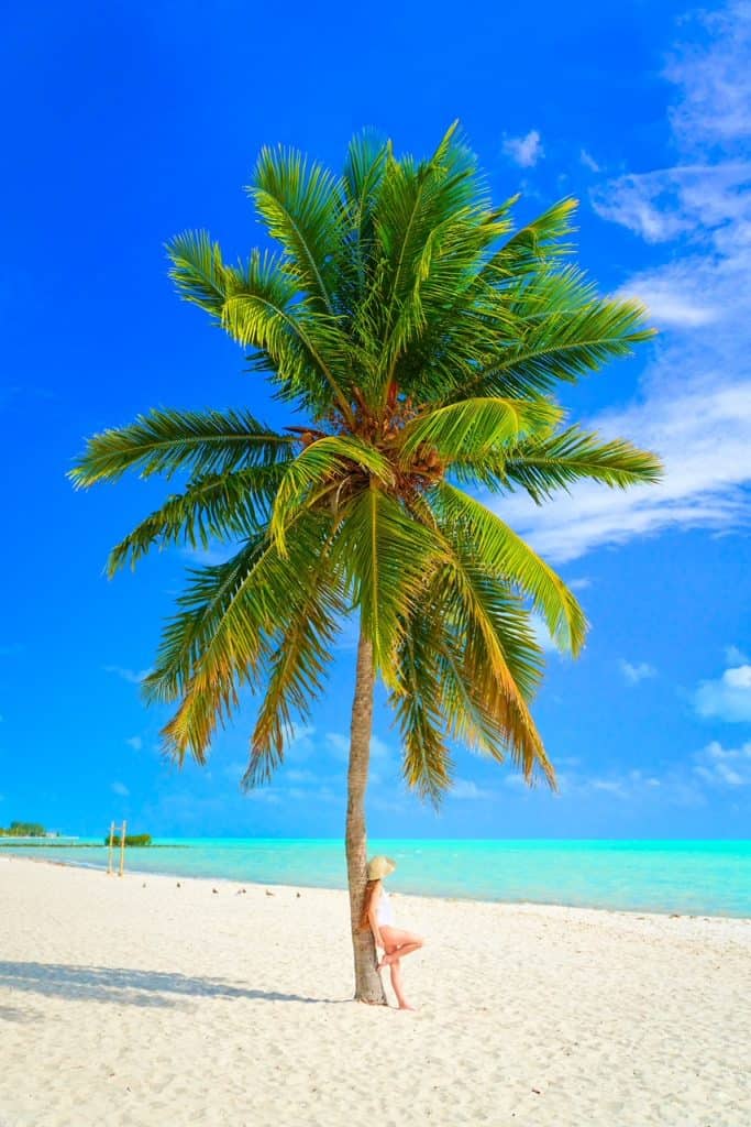 a girl in white swim suit hanging against a palm tree on sandy beach 